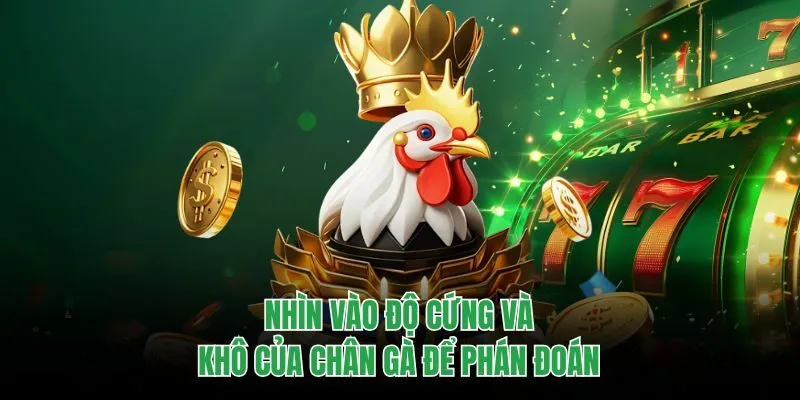 Nhìn vào độ cứng và khô của chân gà để phán đoán